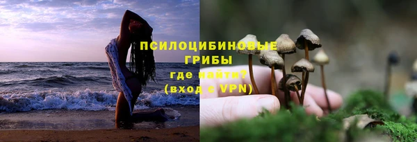 ПСИЛОЦИБИНОВЫЕ ГРИБЫ Медвежьегорск