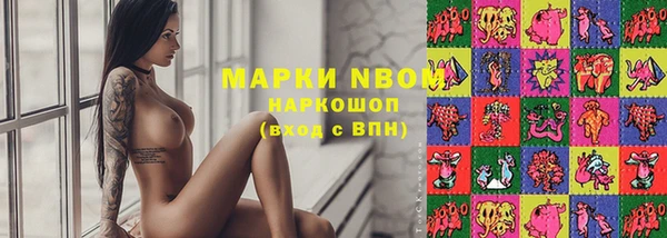 ПСИЛОЦИБИНОВЫЕ ГРИБЫ Медвежьегорск