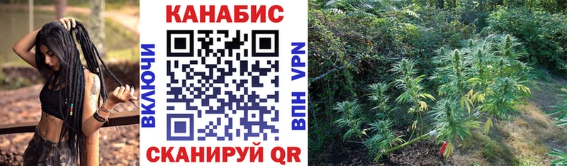 Бошки Шишки White Widow  Ясногорск 